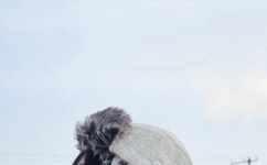 井川里予每一口都很深情